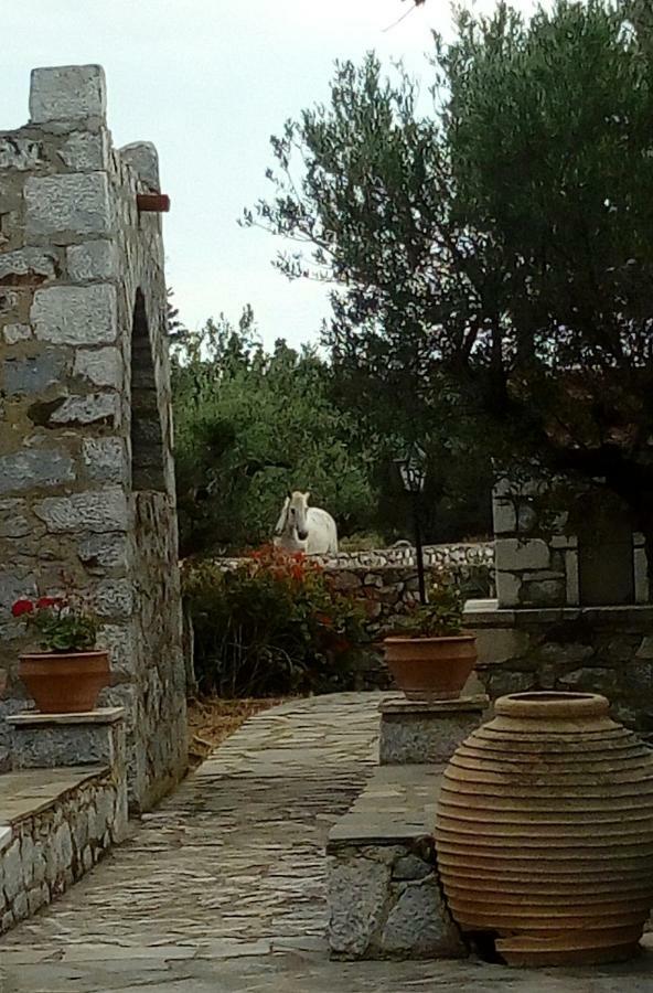 Charouda Stone Tower Appartement Pírgos Dhiroú Buitenkant foto
