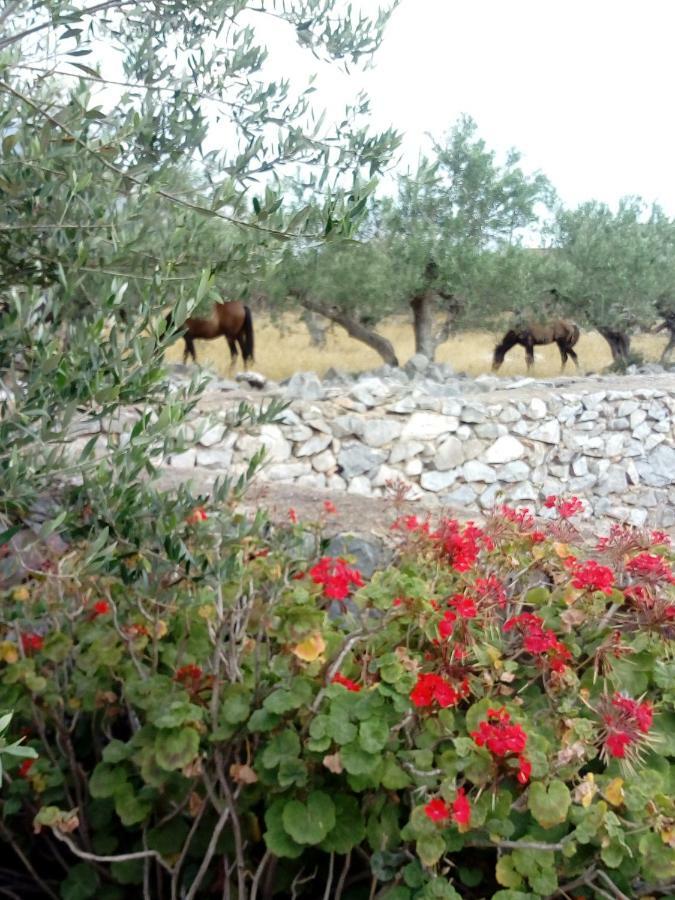 Charouda Stone Tower Appartement Pírgos Dhiroú Buitenkant foto